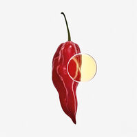 7 ELIXIR  100ml-223618 7 ELIXIR  100ml-223618 2